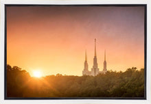 Load image into Gallery viewer, Washington DC Sunset Gold
