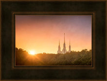 Load image into Gallery viewer, Washington DC Sunset Gold
