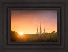 Load image into Gallery viewer, Washington DC Sunset Gold
