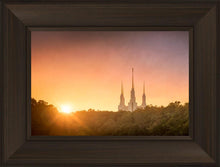 Load image into Gallery viewer, Washington DC Sunset Gold
