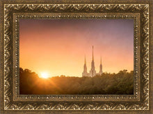 Load image into Gallery viewer, Washington DC Sunset Gold
