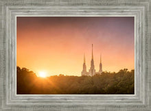 Load image into Gallery viewer, Washington DC Sunset Gold
