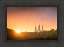 Load image into Gallery viewer, Washington DC Sunset Gold
