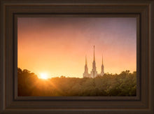 Load image into Gallery viewer, Washington DC Sunset Gold
