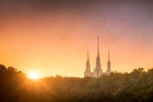 Load image into Gallery viewer, Washington DC Sunset Gold
