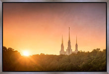 Load image into Gallery viewer, Washington DC Sunset Gold
