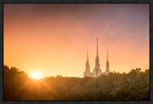Load image into Gallery viewer, Washington DC Sunset Gold
