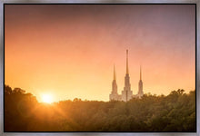 Load image into Gallery viewer, Washington DC Sunset Gold
