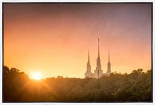 Load image into Gallery viewer, Washington DC Sunset Gold
