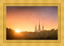 Load image into Gallery viewer, Washington DC Sunset Gold
