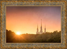 Load image into Gallery viewer, Washington DC Sunset Gold
