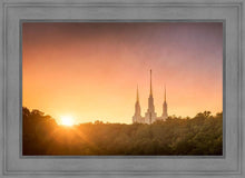 Load image into Gallery viewer, Washington DC Sunset Gold
