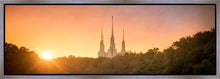 Load image into Gallery viewer, Washington DC Sunset Gold
