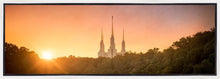 Load image into Gallery viewer, Washington DC Sunset Gold
