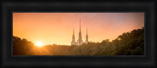 Load image into Gallery viewer, Washington DC Sunset Gold
