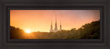 Load image into Gallery viewer, Washington DC Sunset Gold
