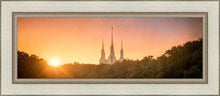 Load image into Gallery viewer, Washington DC Sunset Gold
