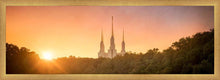 Load image into Gallery viewer, Washington DC Sunset Gold
