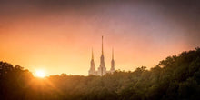 Load image into Gallery viewer, Washington DC Sunset Gold
