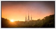Load image into Gallery viewer, Washington DC Sunset Gold
