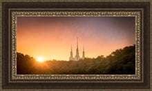 Load image into Gallery viewer, Washington DC Sunset Gold
