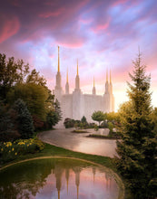 Load image into Gallery viewer, Washington DC Reflections Into Eternity
