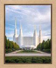 Load image into Gallery viewer, Washington DC Blue
