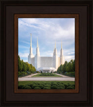 Load image into Gallery viewer, Washington DC Blue
