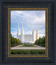 Load image into Gallery viewer, Washington DC Blue
