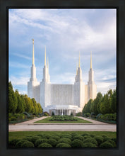 Load image into Gallery viewer, Washington DC Blue
