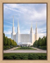 Load image into Gallery viewer, Washington DC Blue
