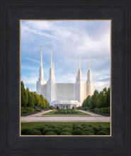 Load image into Gallery viewer, Washington DC Blue
