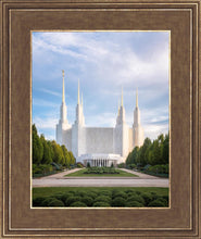 Load image into Gallery viewer, Washington DC Blue
