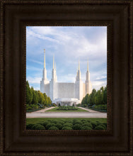 Load image into Gallery viewer, Washington DC Blue
