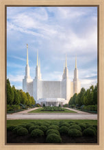 Load image into Gallery viewer, Washington DC Blue
