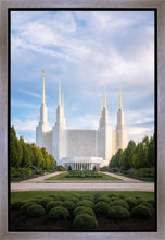 Load image into Gallery viewer, Washington DC Blue
