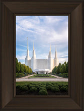 Load image into Gallery viewer, Washington DC Blue
