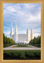 Load image into Gallery viewer, Washington DC Blue

