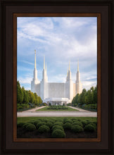 Load image into Gallery viewer, Washington DC Blue
