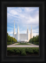 Load image into Gallery viewer, Washington DC Blue
