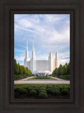 Load image into Gallery viewer, Washington DC Blue
