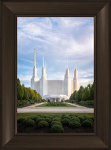 Load image into Gallery viewer, Washington DC Blue
