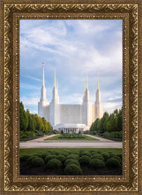 Load image into Gallery viewer, Washington DC Blue
