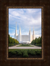 Load image into Gallery viewer, Washington DC Blue
