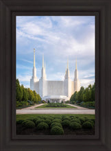 Load image into Gallery viewer, Washington DC Blue
