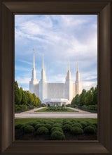 Load image into Gallery viewer, Washington DC Blue

