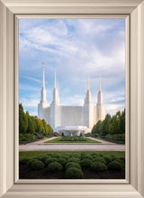 Load image into Gallery viewer, Washington DC Blue

