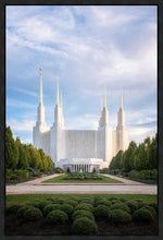 Load image into Gallery viewer, Washington DC Blue
