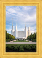 Load image into Gallery viewer, Washington DC Blue
