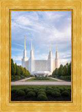 Load image into Gallery viewer, Washington DC Blue
